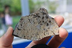 Steine im Blumenbeet...