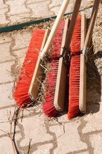 Schmerzfrei bei Haus- und Gartenarbeit