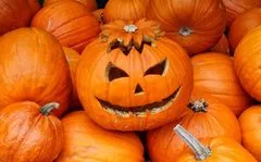 Aus Rübe wurde Kürbis