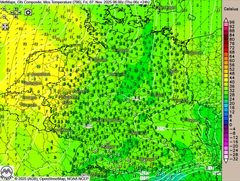 Nebel bleibt hartnäckig
